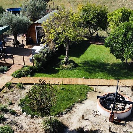 Glamping Turquesa, Feel And Relax In A Wood House Guest House Corredoura Eksteriør bilde
